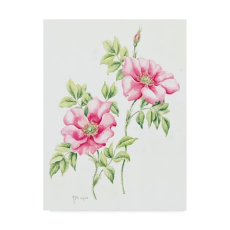 Janneke Brinkman-Salentijn 'Wild Roses' Canvas Art,24x32